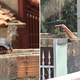 Illustration for article titled Brazilian Man Holds Woman Hostage For 10 Hours... With A Sega Light Gun